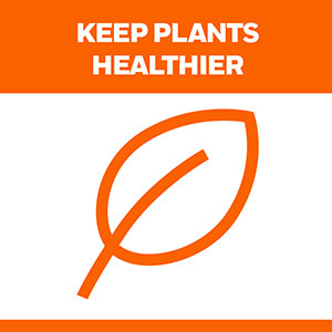 Universal_Orange_Plants