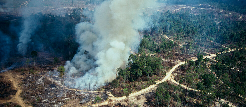What You’re Breathing In during a Wildfire